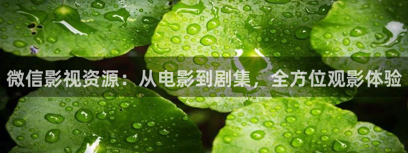 金桔直播免费视频：微信影视资源：从电影到剧集，全方位观影体验