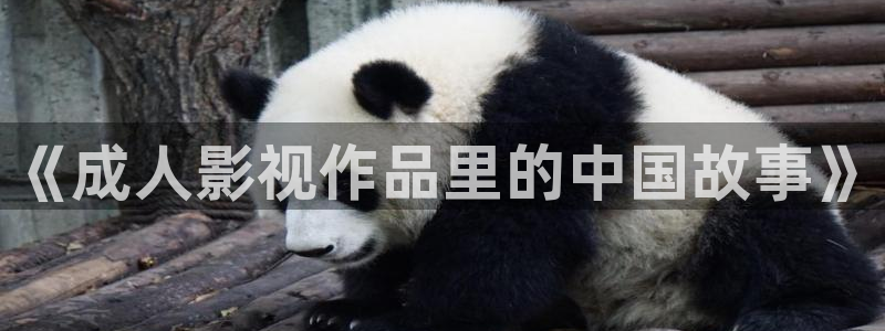 金桔tv：《成人影视作品里的中国故事》
