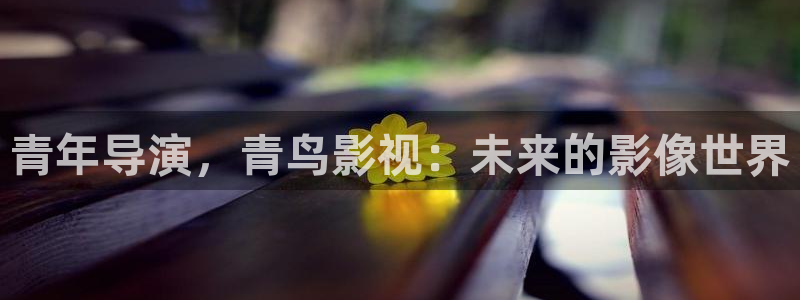 金桔tv：青年导演，青鸟影视：未来的影像世界