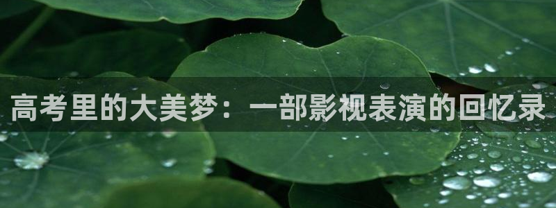 金桔影视哪里下载：高考里的大美梦：一部影视表演的回忆录