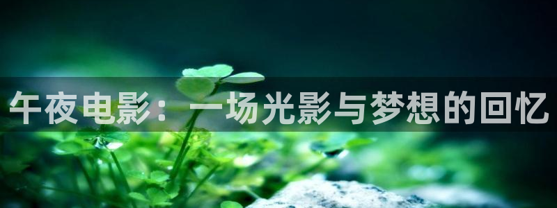 金桔 影视：午夜电影：一场光影与梦想的回忆