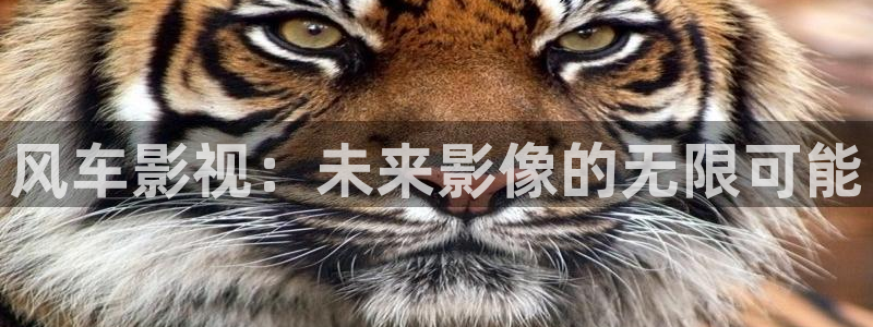 金桔柠檬做法视频：风车影视：未来影像的无限可能