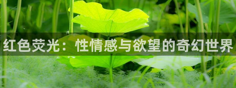 金桔影视：红色荧光：性情感与欲望的奇幻世界